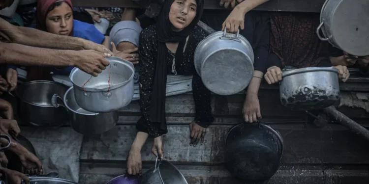 Israel Cabut Izin Operasional 37 Organisasi Internasional yang Salurkan Bantuan ke Gaza